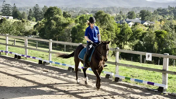 Equi-rider, la plateforme de concours en ligne