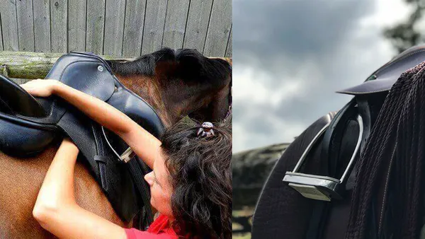 A la découverte du saddle fitting
