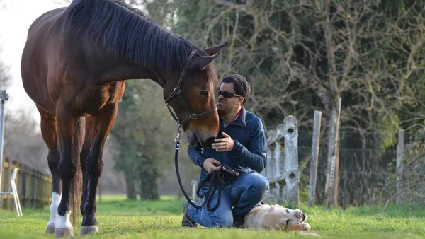 Salim Ejnaïni : rencontre avec un cavalier de saut d'obstacles aveugle