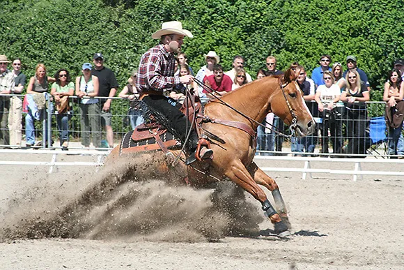 Le reining comprend des arrêts glissés (sliding stop) très spectaculaires.