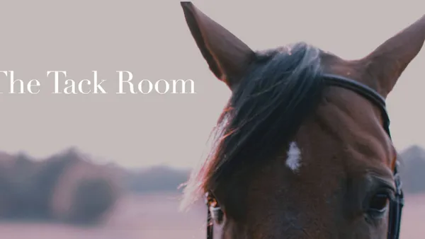 Blooming Riders : la première plateforme de cours vidéos holistiques