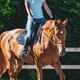 Trotter sur le bon bipède diagonal : qu'est-ce que cela signifie ?
