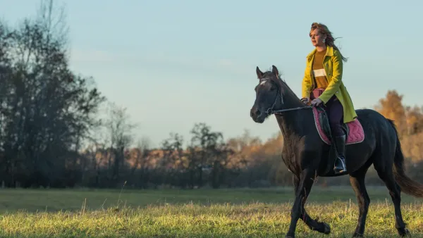 Le trotting : pourquoi et comment réussir un bon trotting ?