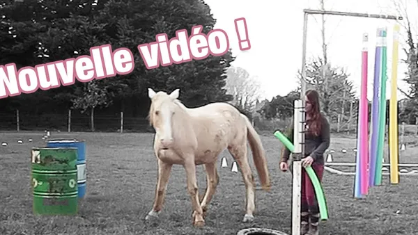 [Vidéo] Suite du travail sur la cible au clicker