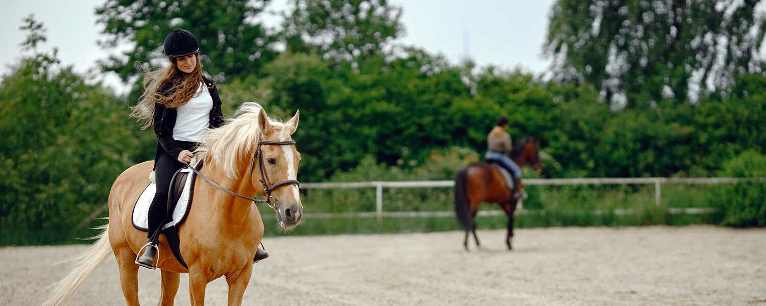 nos conseils pour bien réussir la détente de votre cheval avant un cours d'équitation ou une compétition équestre