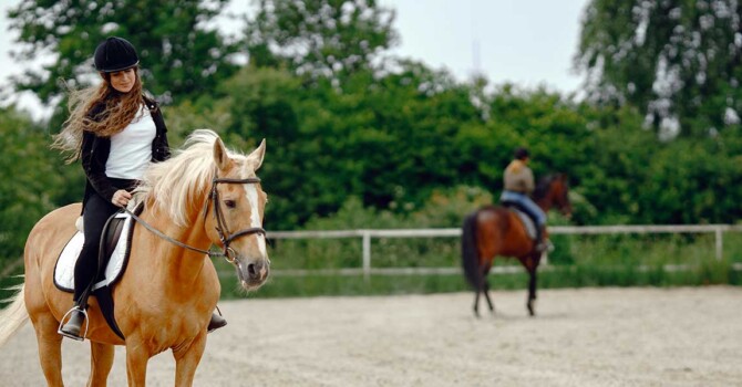 nos conseils pour bien réussir la détente de votre cheval avant un cours d'équitation ou une compétition équestre