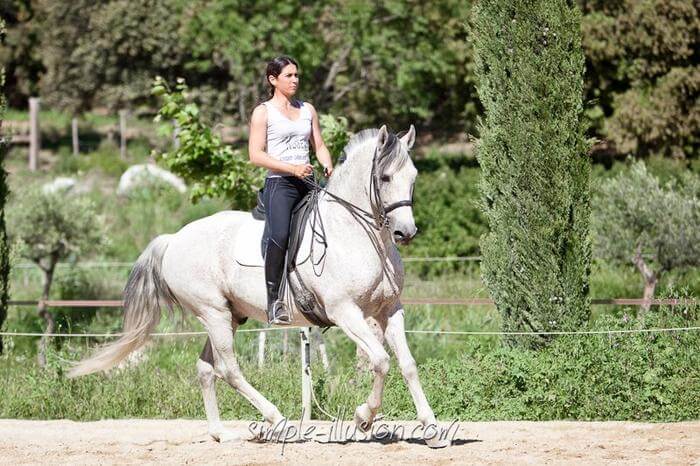 monter à cheval sans casque