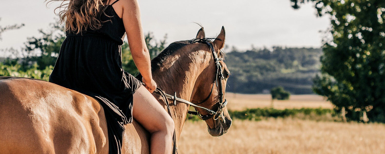 acheter un cheval : les formalités à suivre