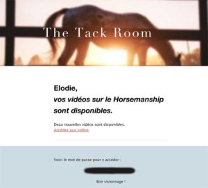 Zoom sur la formation en ligne Eduquer son cheval au sol (Maéva Munier) +  code promo