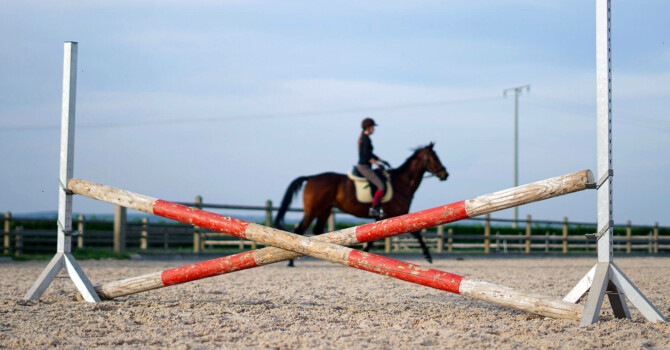 exercice du mois cheval équitation