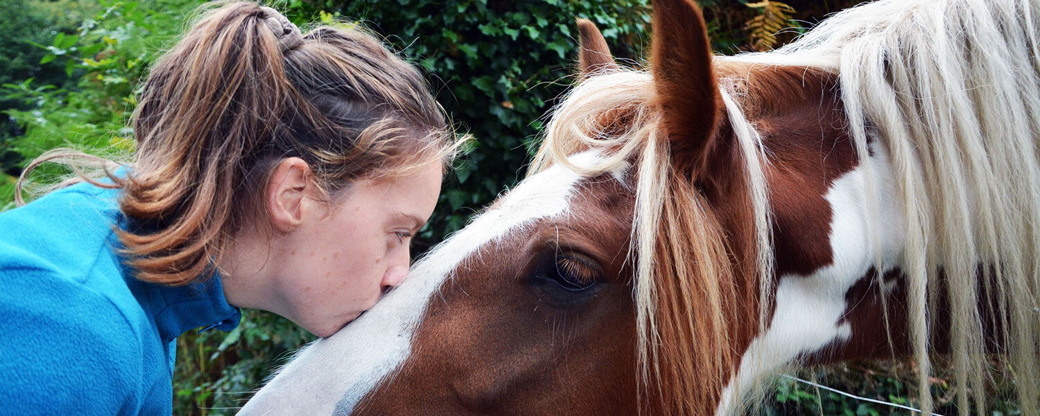 acheter un cheval : que peut-on exiger du vendeur