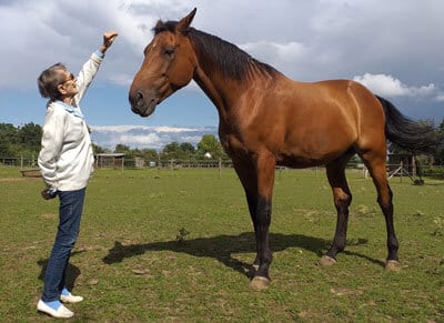 Yvonne Theulier avec Silver, son cheval de voltige