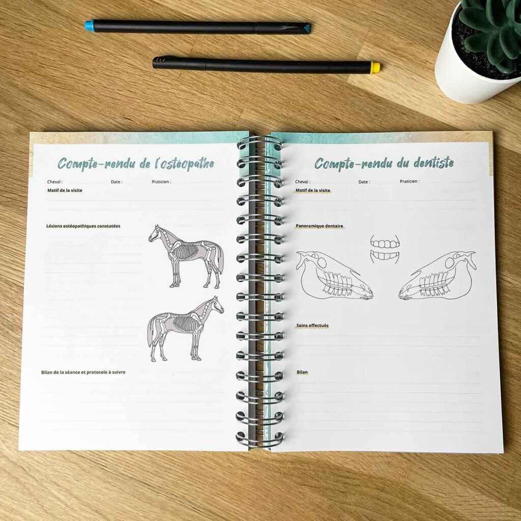 suivez les soins de votre cheval avec le carnet de suivi cheval partage