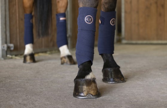 On peut protéger les membres d'un cheval avec des bandes de polo pendant une séance de travail.